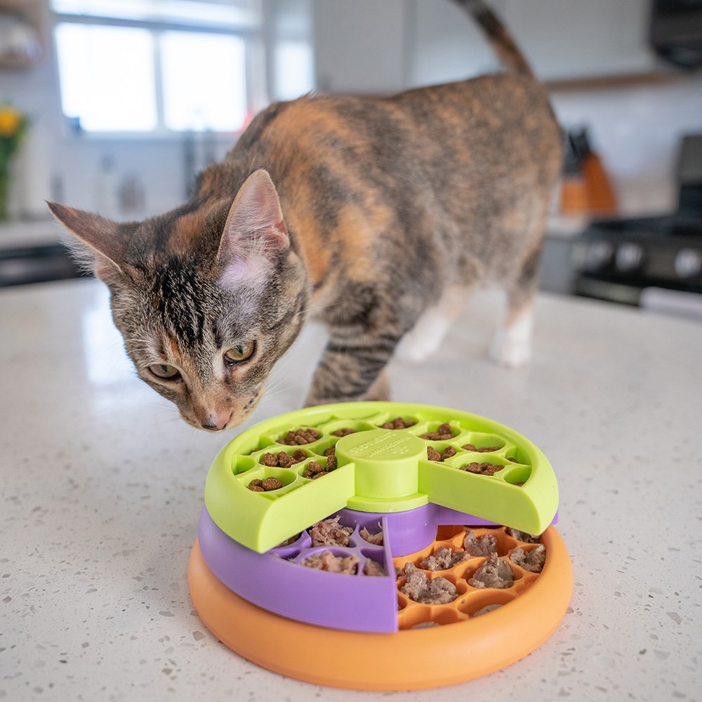 Rosewood CatStages Lickin Layers Cat Puzzle Feeder