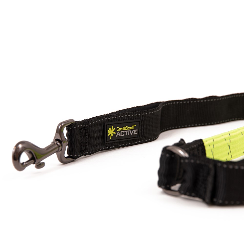 Great & Small Active Shock Absorbing Dog Lead