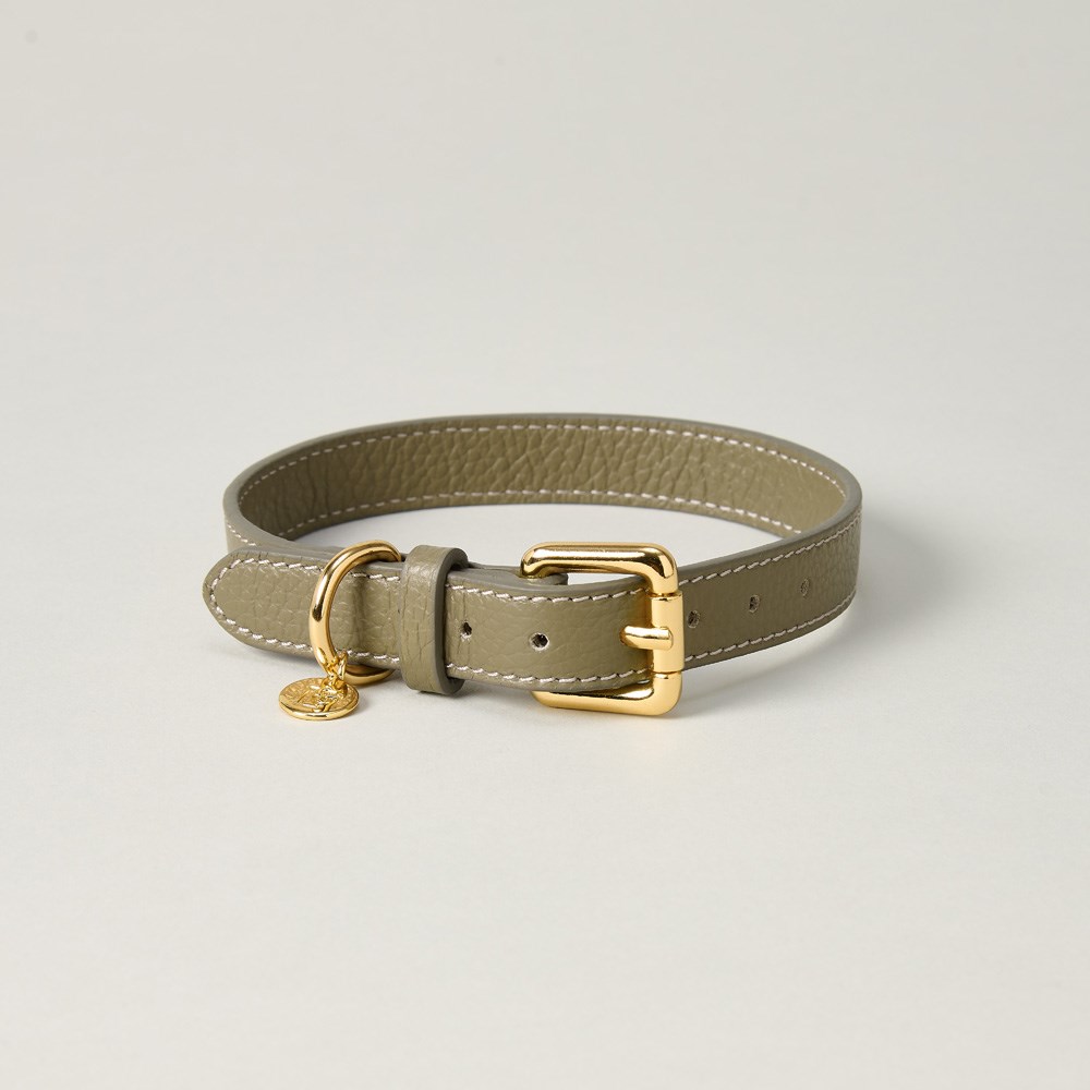 Lily & Leo Leather Flat Dog Collar Sage