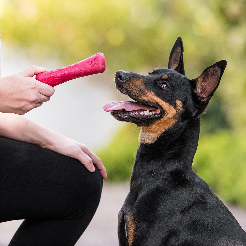 West Paw Drifty Hibiscus Dog Toy