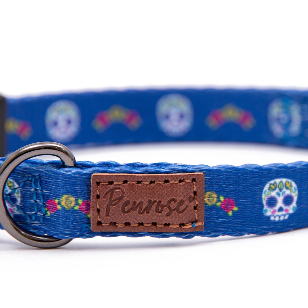 Great & Small Penrose Day of the Dead Blue Dog Collar