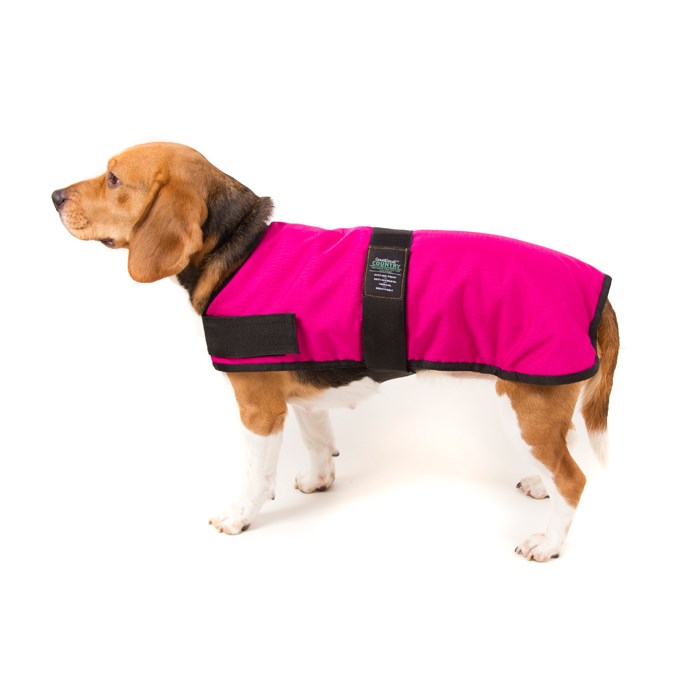 Great & Small Country Padded Raspberry Dog Coat