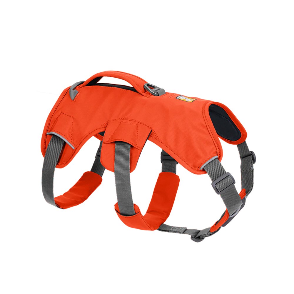 Ruffwear Web Master Dog Harness Blaze Orange