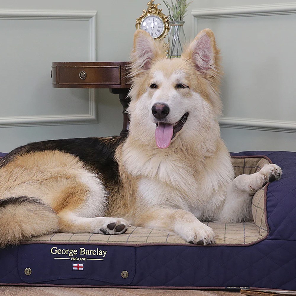 George Barclay Country Dog Sofa Bed Midnight Blue