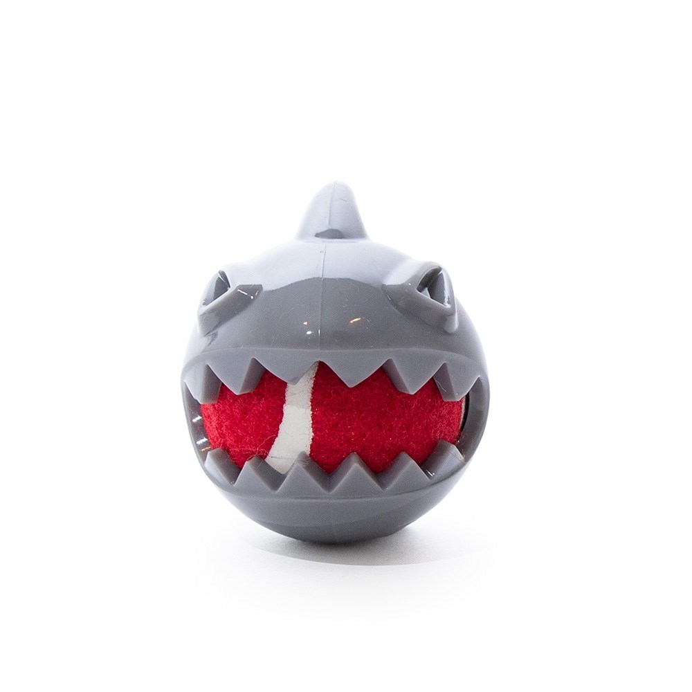Great & Small Stay Wild Shark with Tennis Ball Dog Toy
