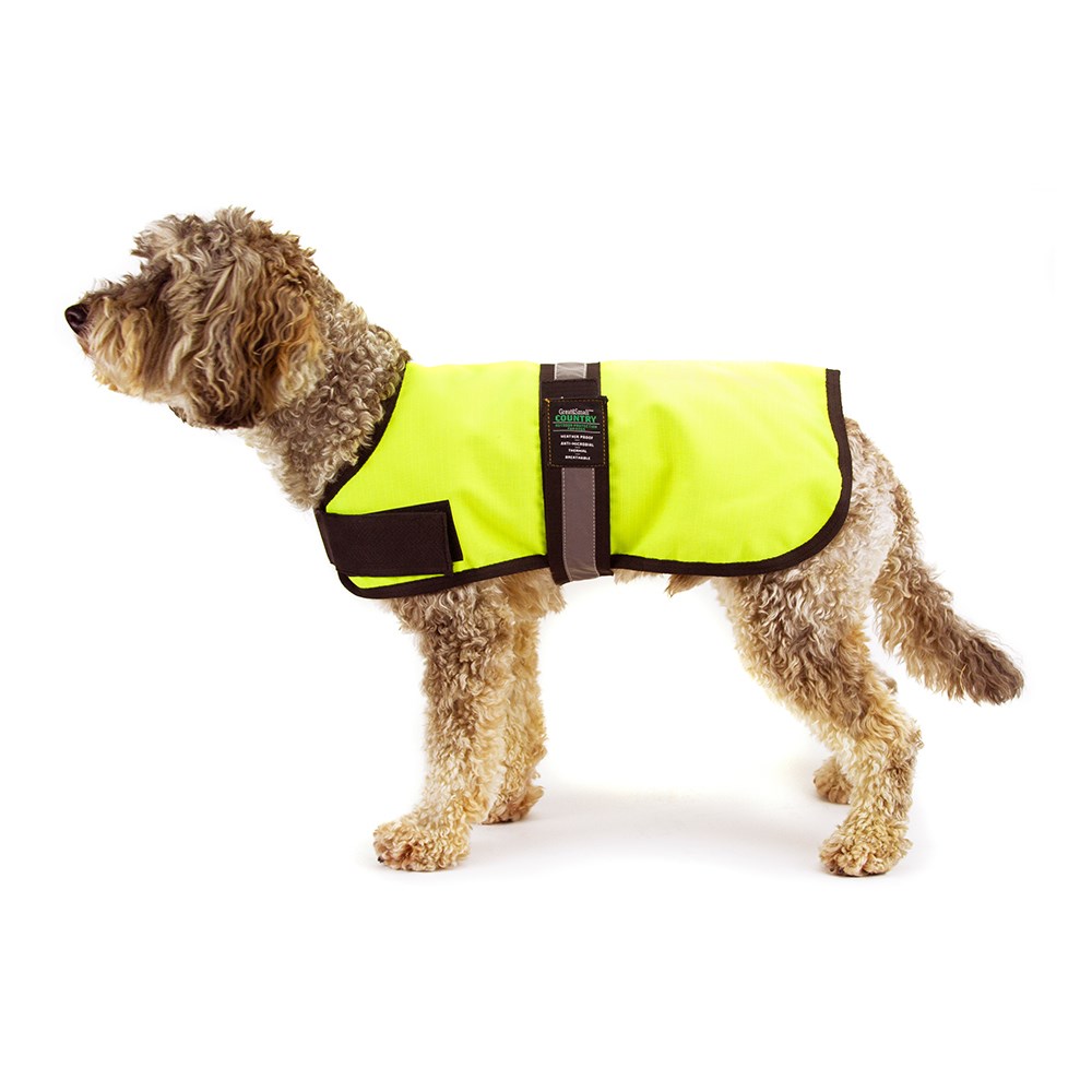 Great & Small Country Unlined Hi-Vis Dog Coat