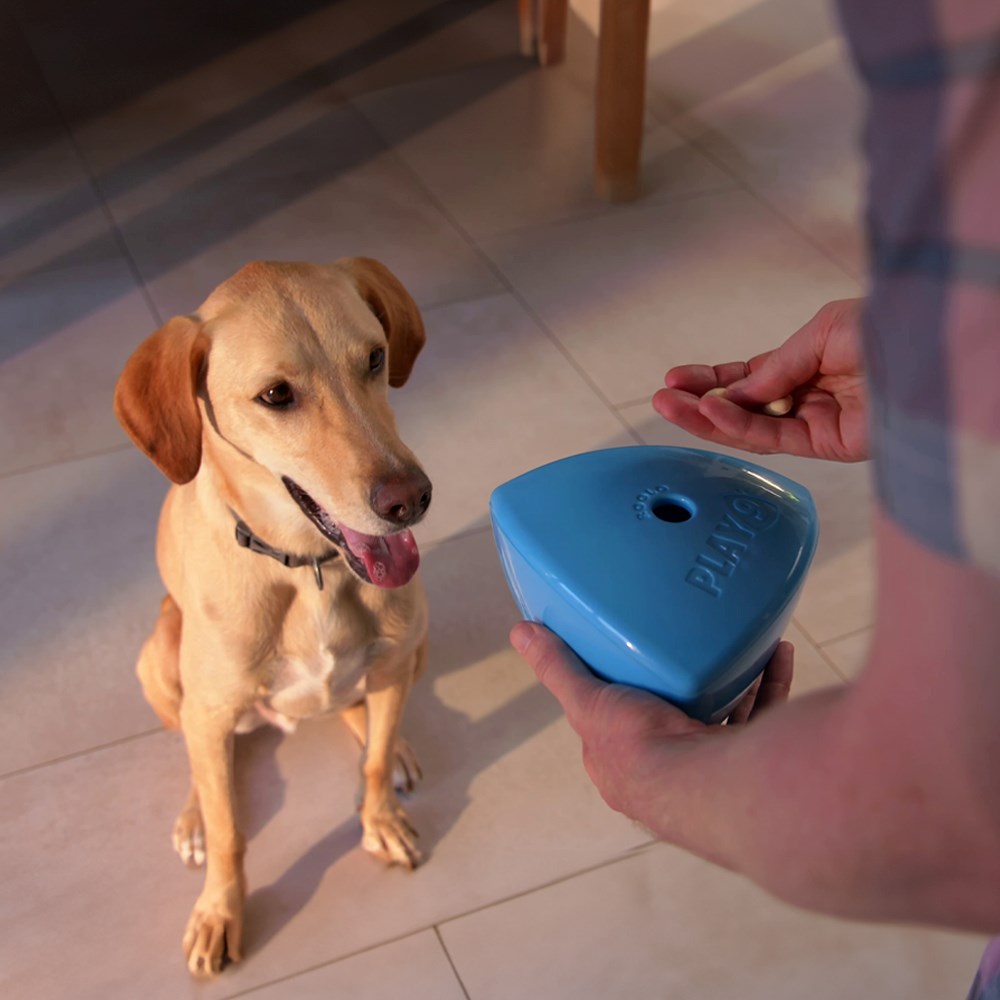 Roolo Treat Dispensing Dog Toy