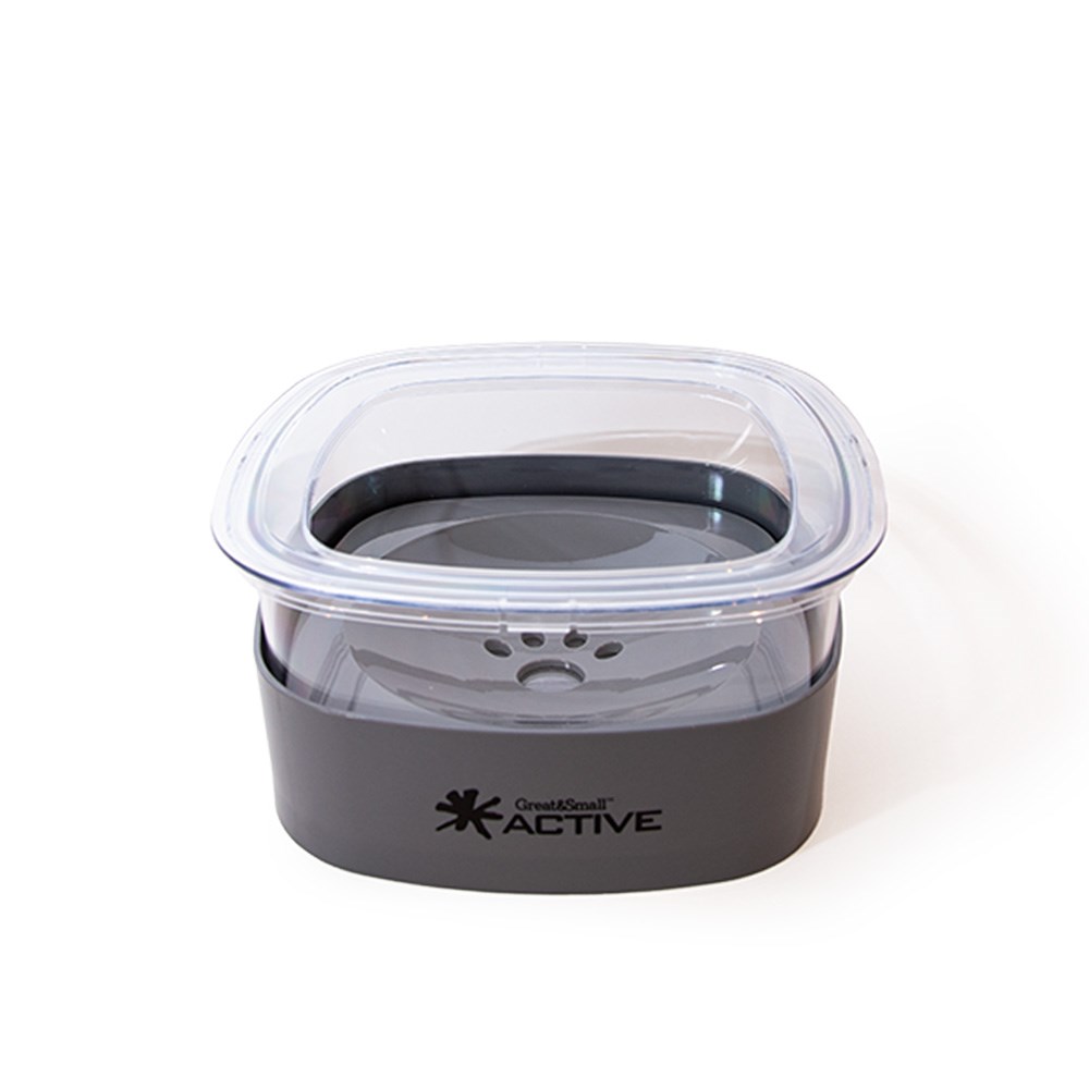 Great & Small Active No Spill Multi Bowl