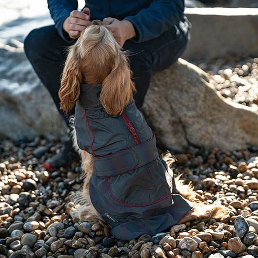 Great & Small Active Reflective Rainbow Raincoat Red Trim Dog Coat