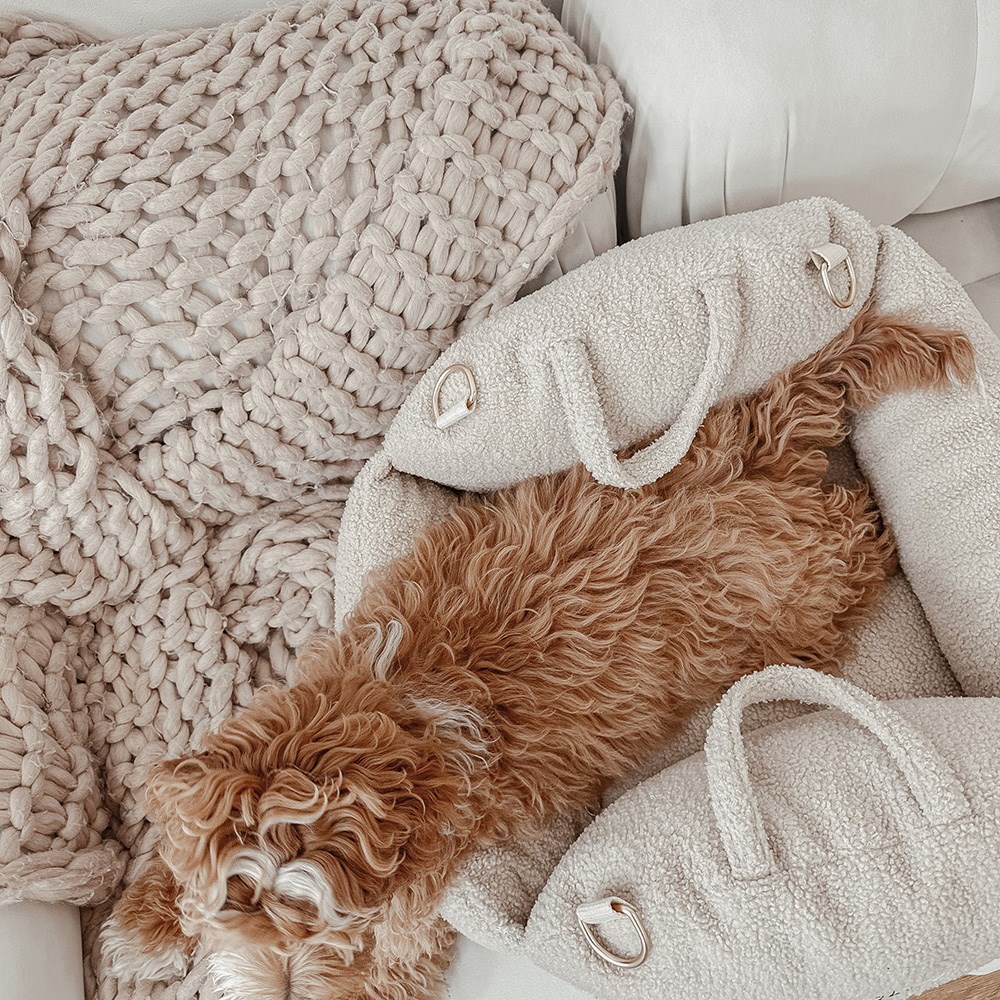 By Teddy Bouclé Car Carrier