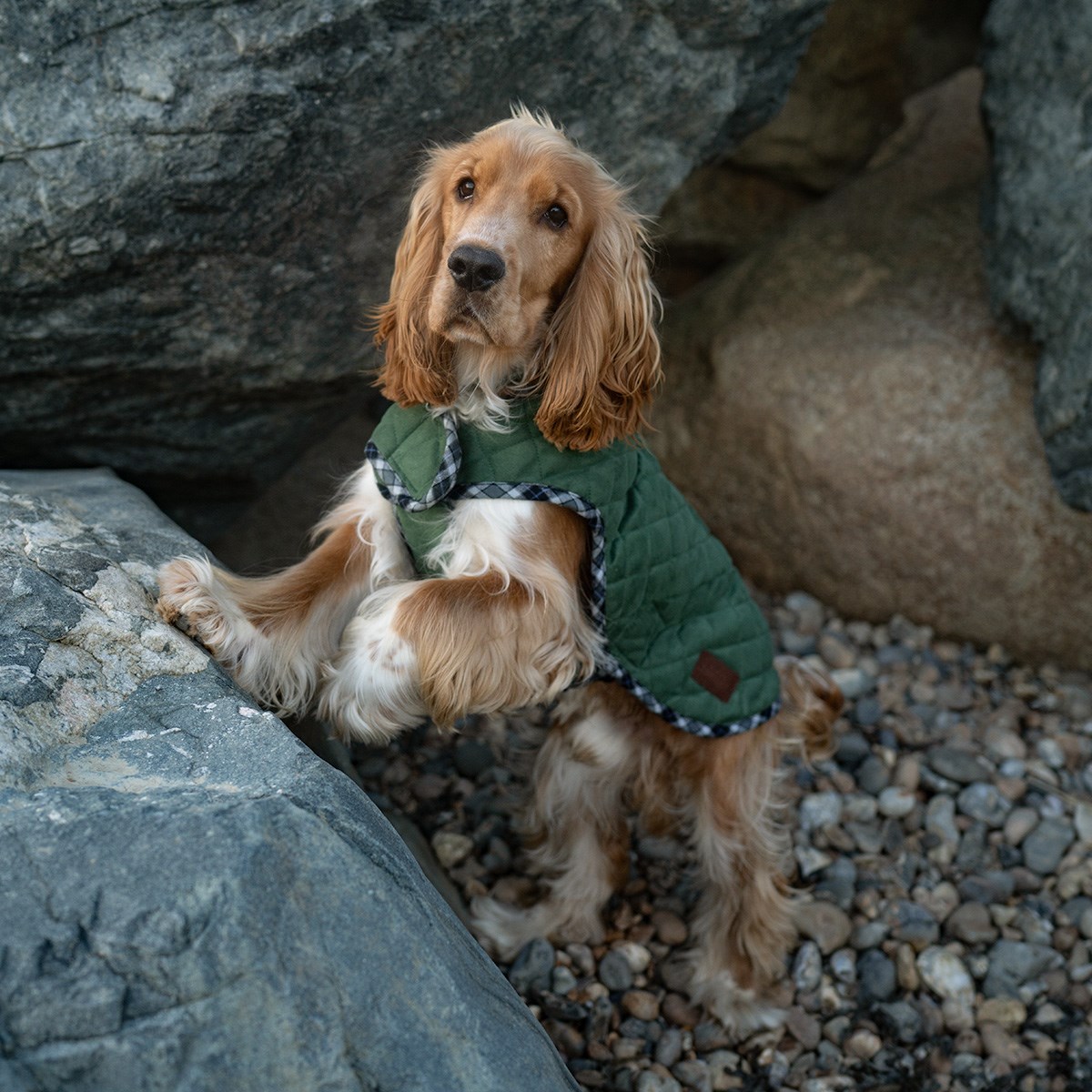 Great & Small Country Quilted Dog Coat Plaid/Green