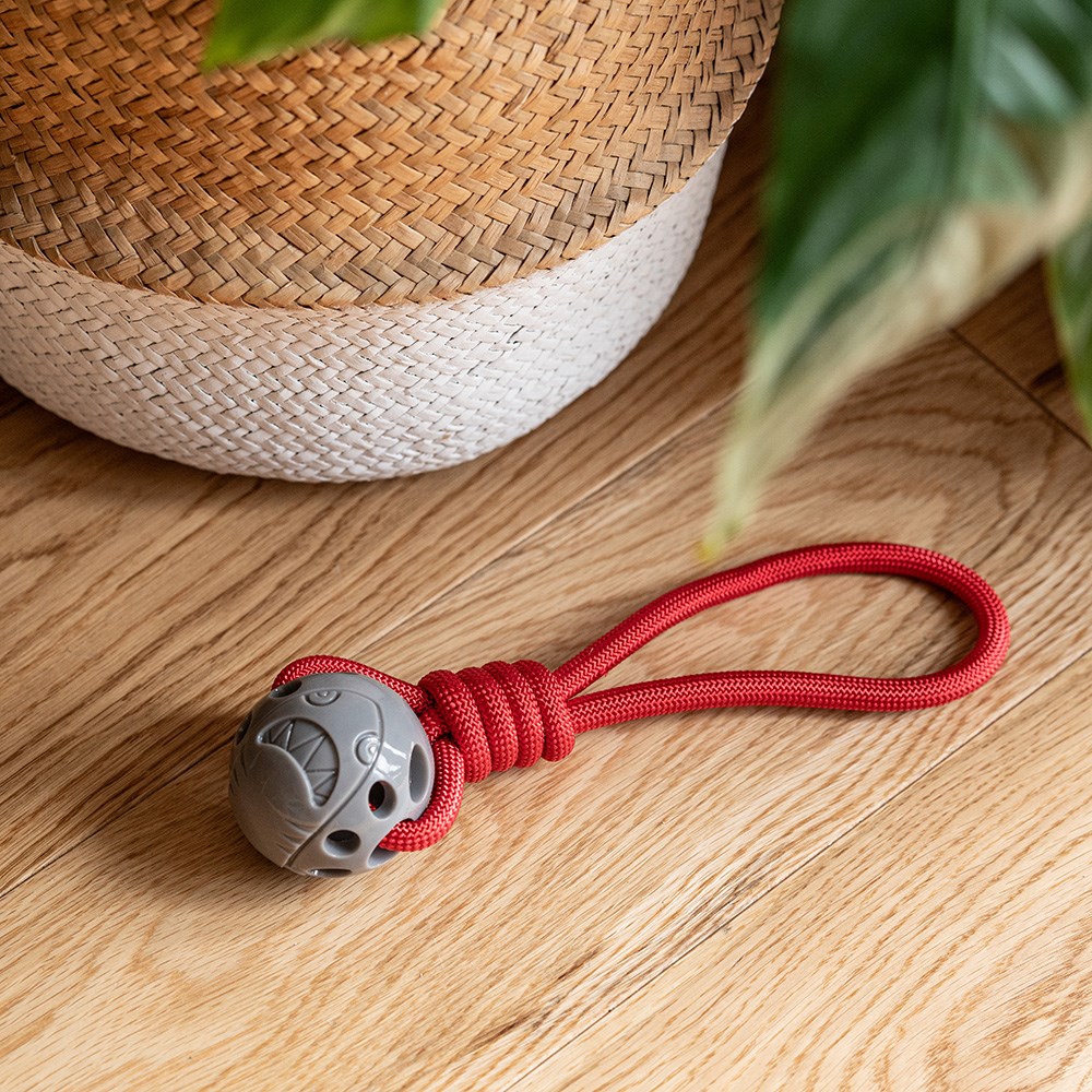 Great & Small Stay Wild Shark & Rope Dog Toy