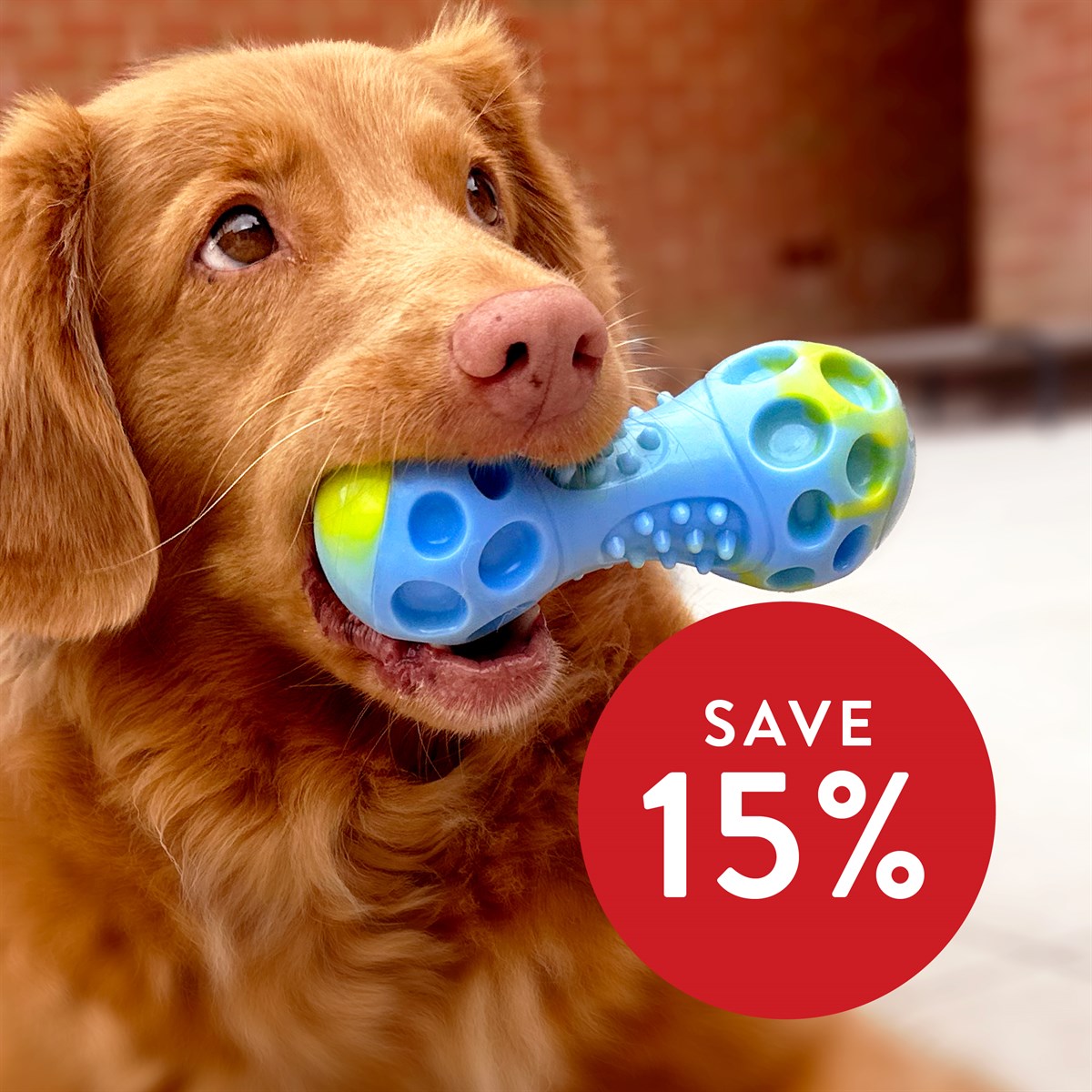 Great & Small Let's Play Loud TPR Dumbbell Dog Toy Large