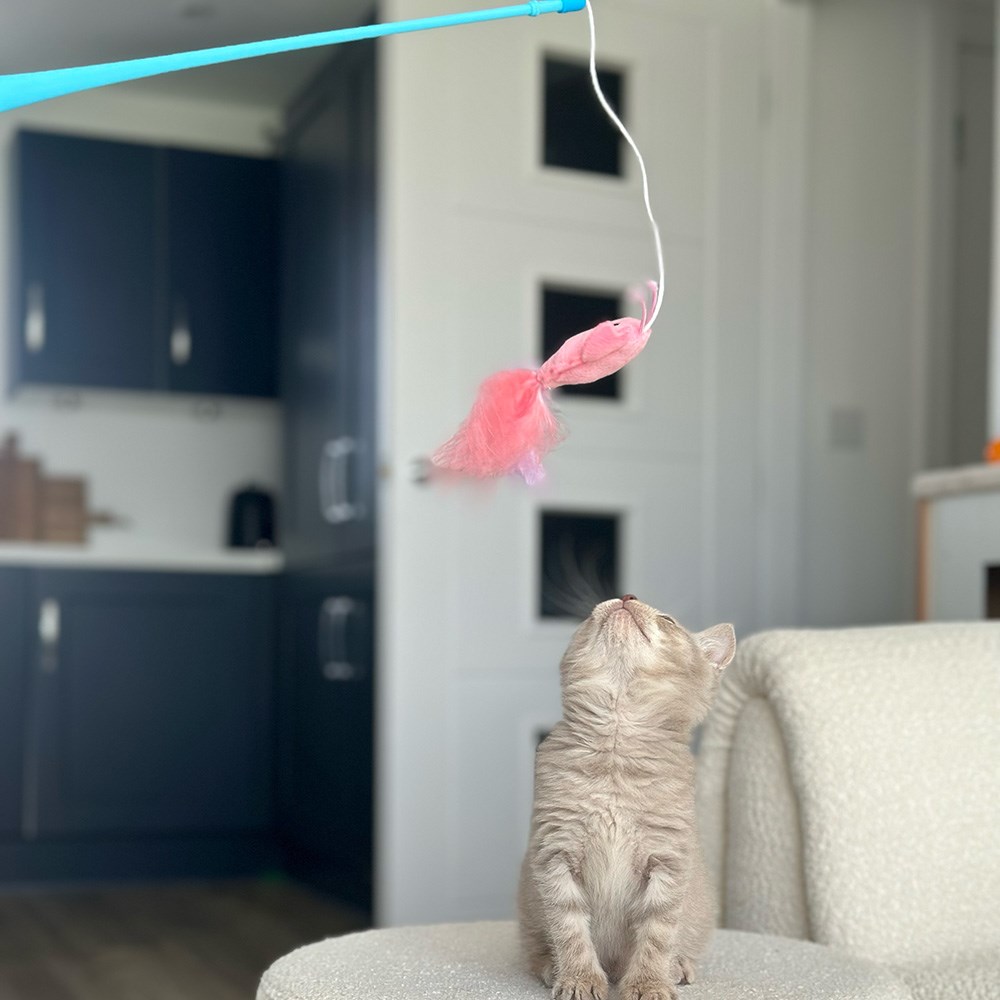Great & Small Little&Lively Easy Play Weighted Dangler with Lobster & Feather Cat Toy