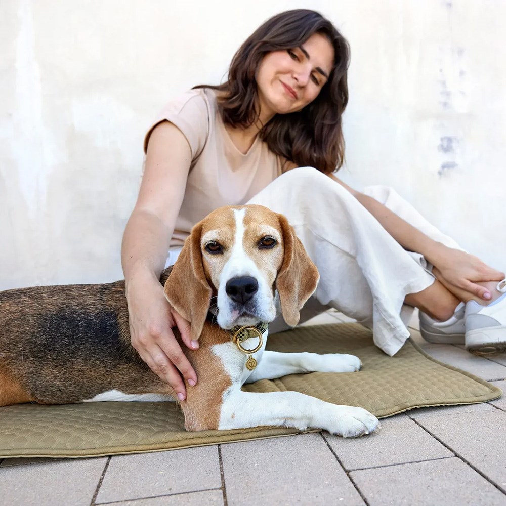 Palopa Nobo Sage Dog Travel Bag