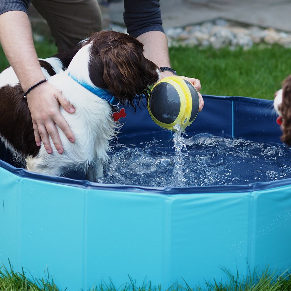 Great & Small Cool Dog Pool