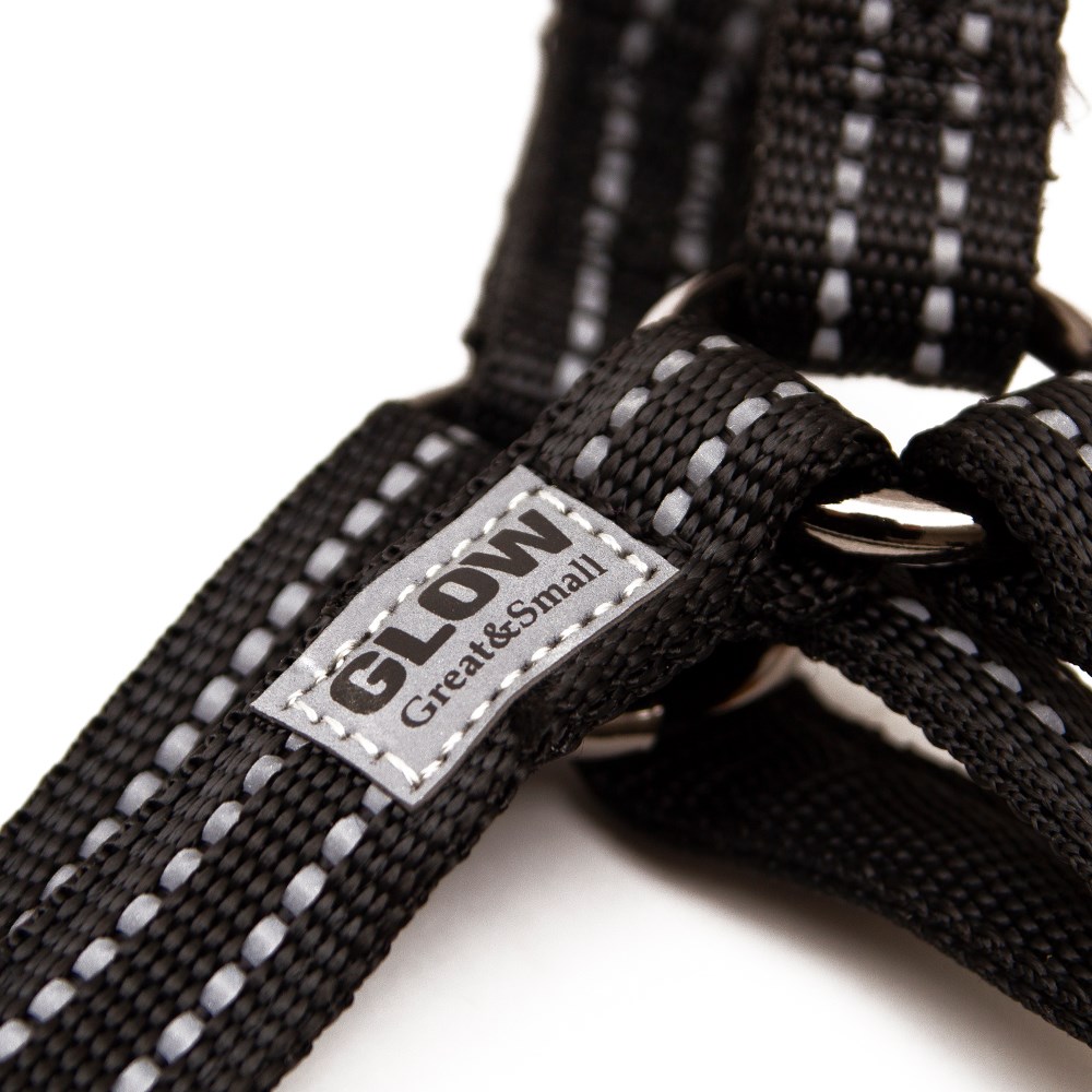Great & Small Glow Dog Harness Black