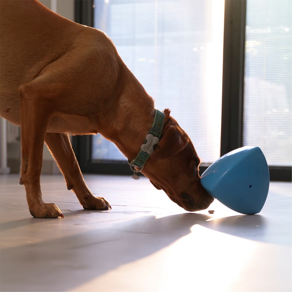 Roolo Treat Dispensing Dog Toy