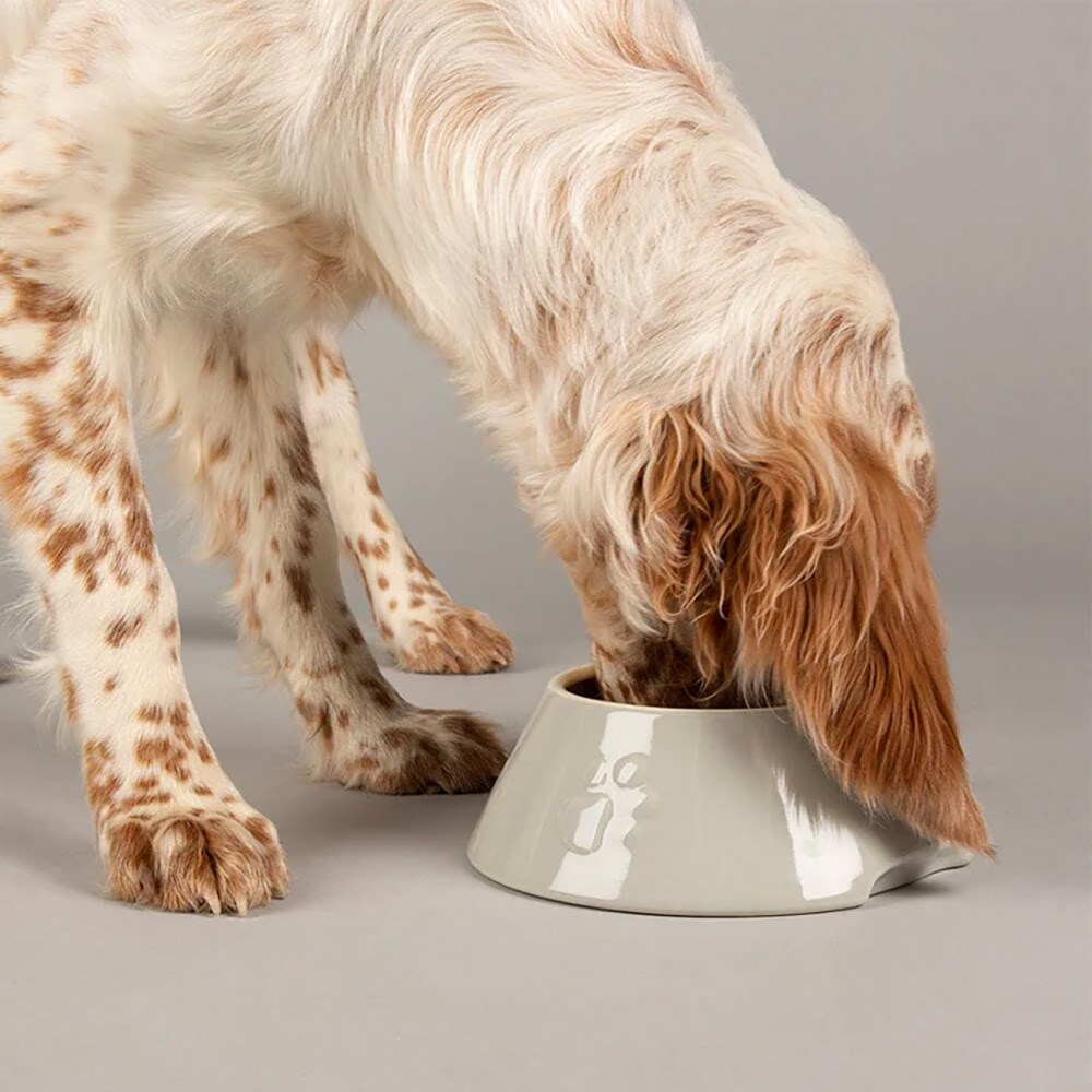 Scruffs Icon Spaniel Bowl Light Grey 21cm