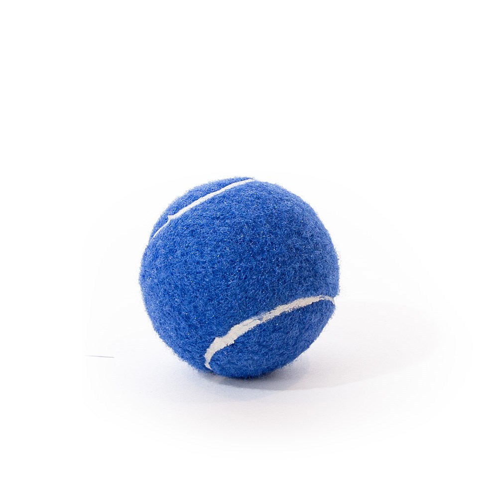 Great & Small Go Team! Squeaky Blue Tennis Ball Dog Toy
