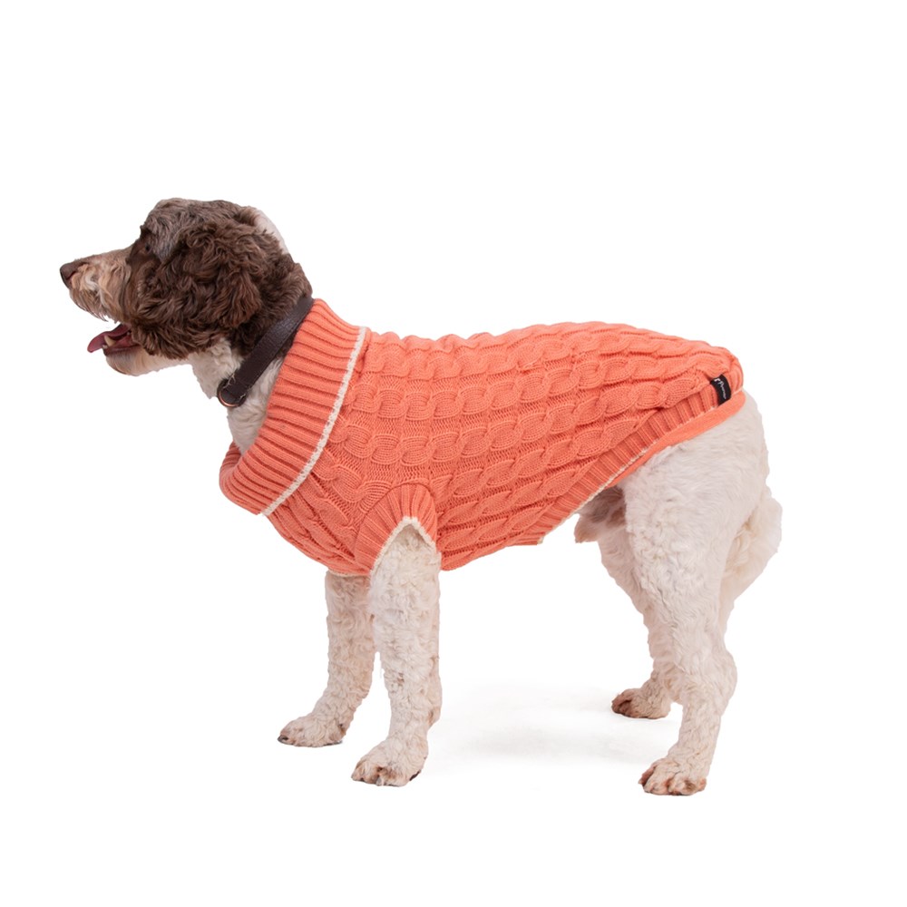 Great & Small Penrose Knit Peach Dog Jumper