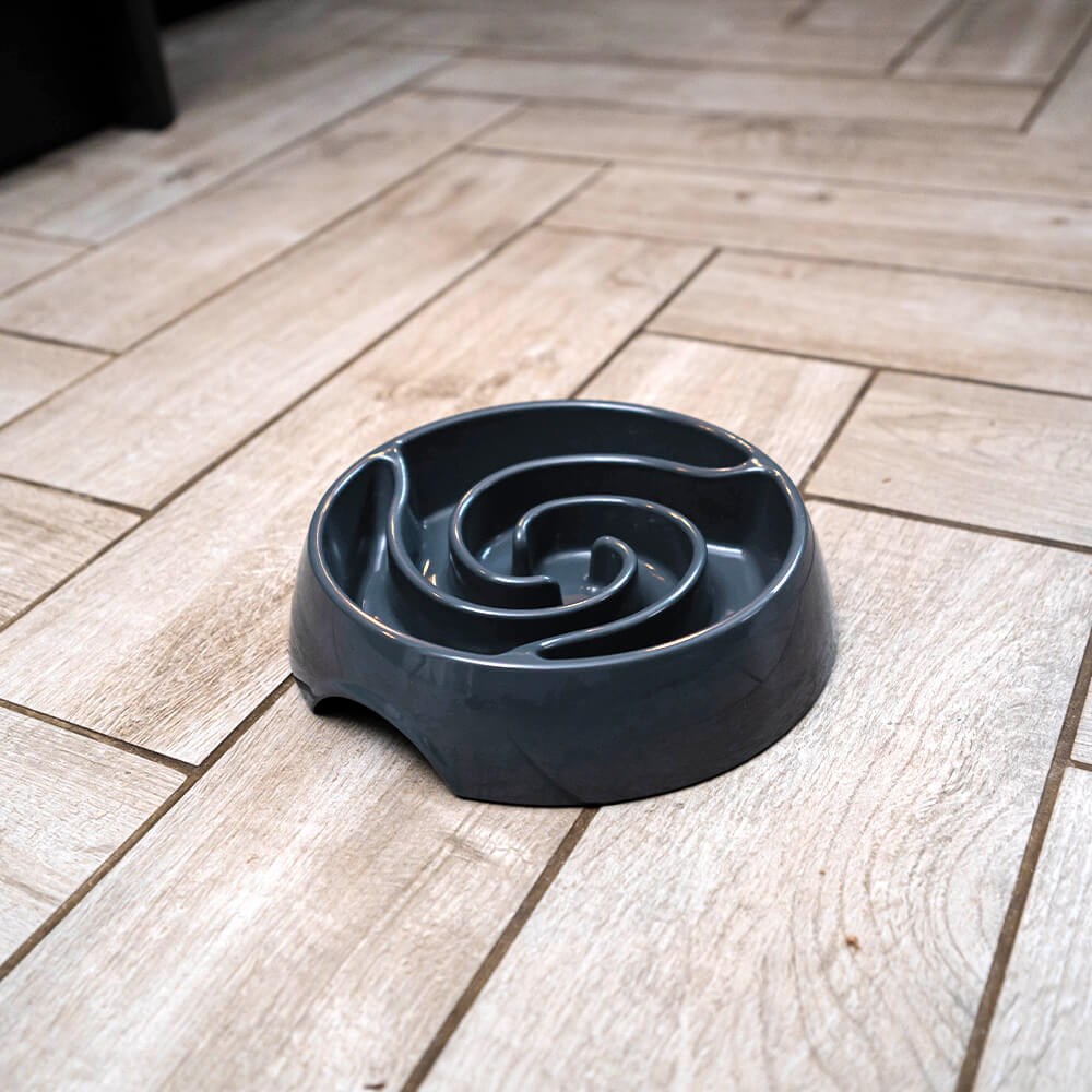 Great & Small Grey Slow Down Swirl Pet Bowl