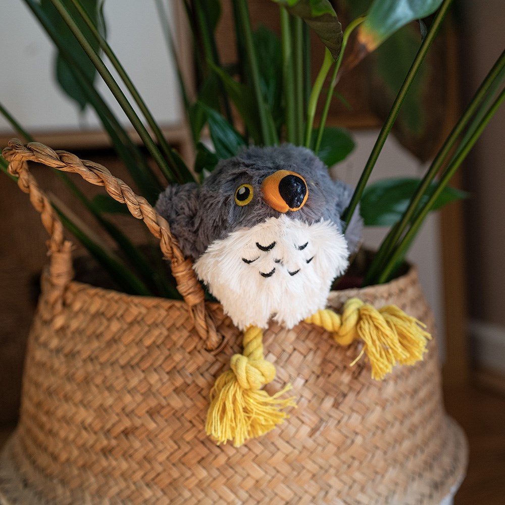 Great & Small Stay Wild Peregrine Falcon Dog Toy