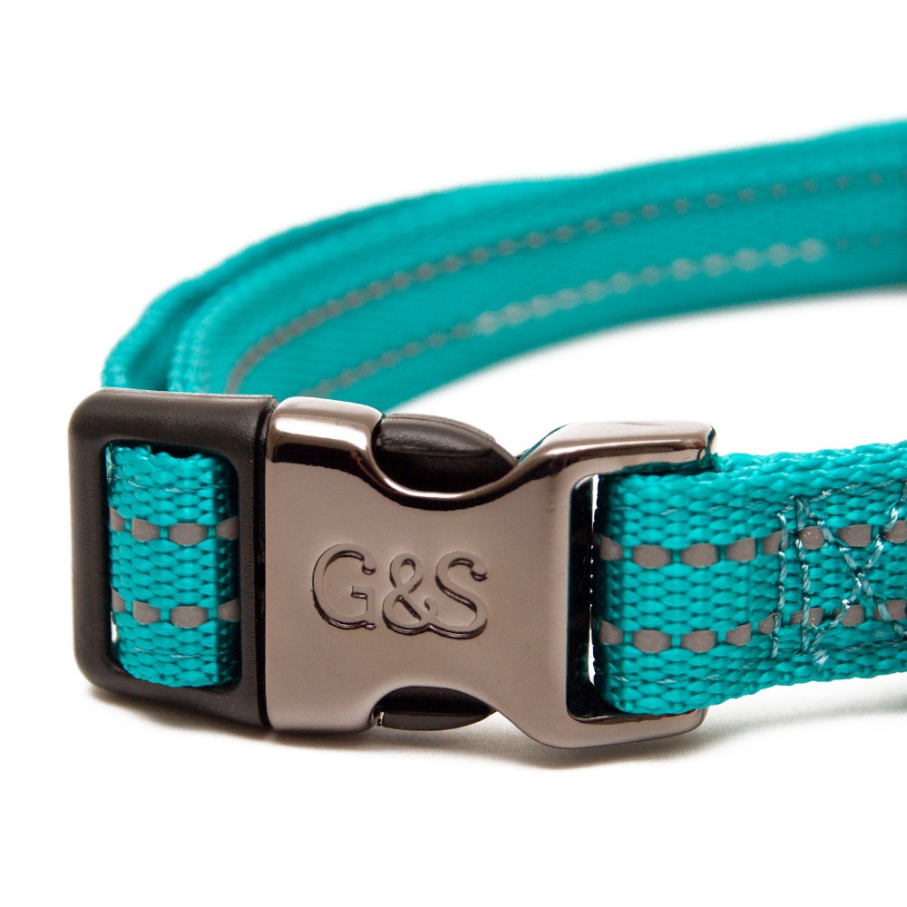 Great & Small Glow Dog Collar Turquoise