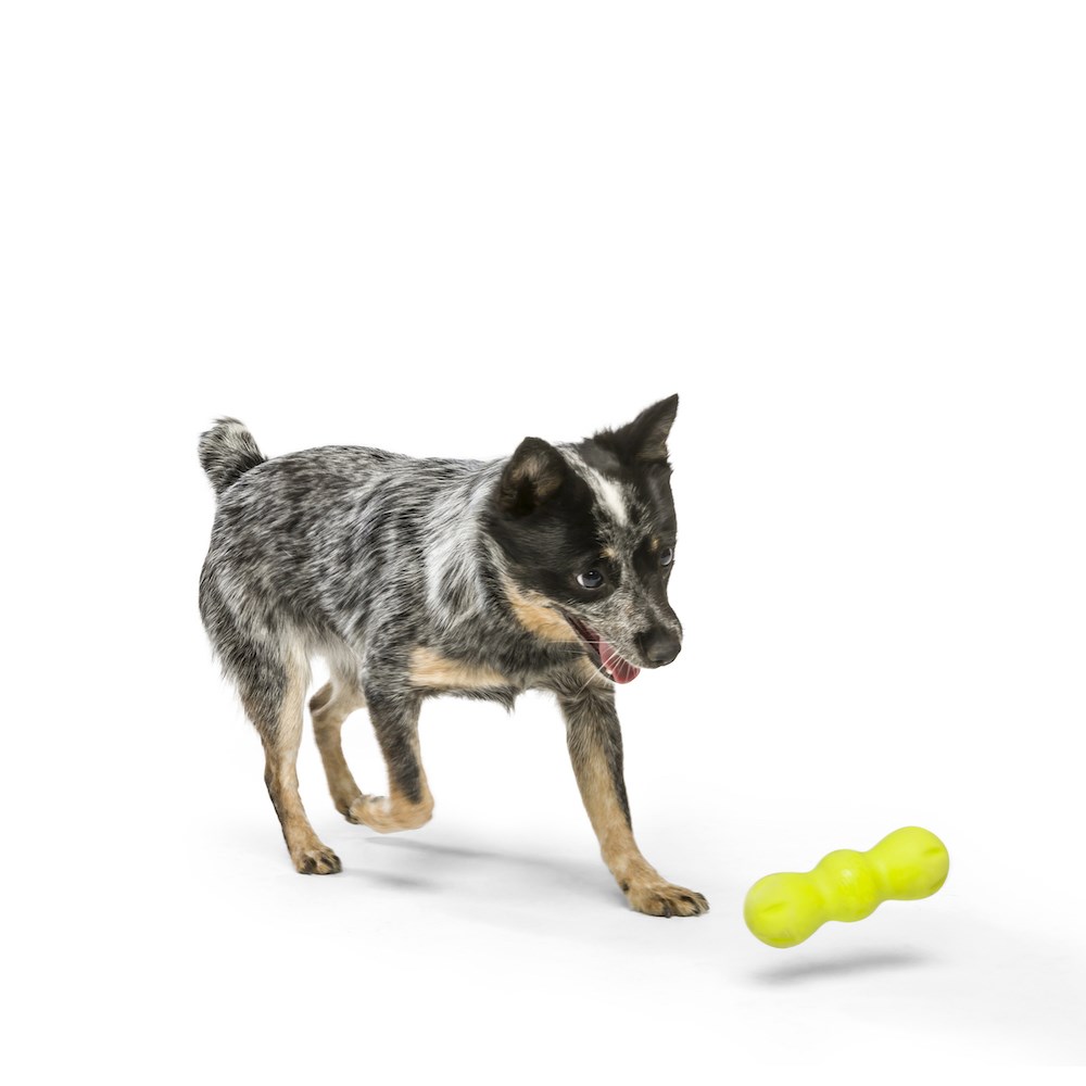 West Paw Rumpus Green Dog Toy