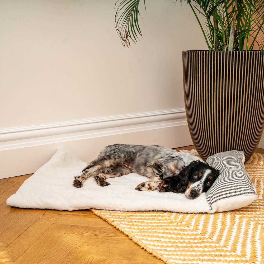 Great & Small Penrose Soft Travel Bed & Pillow