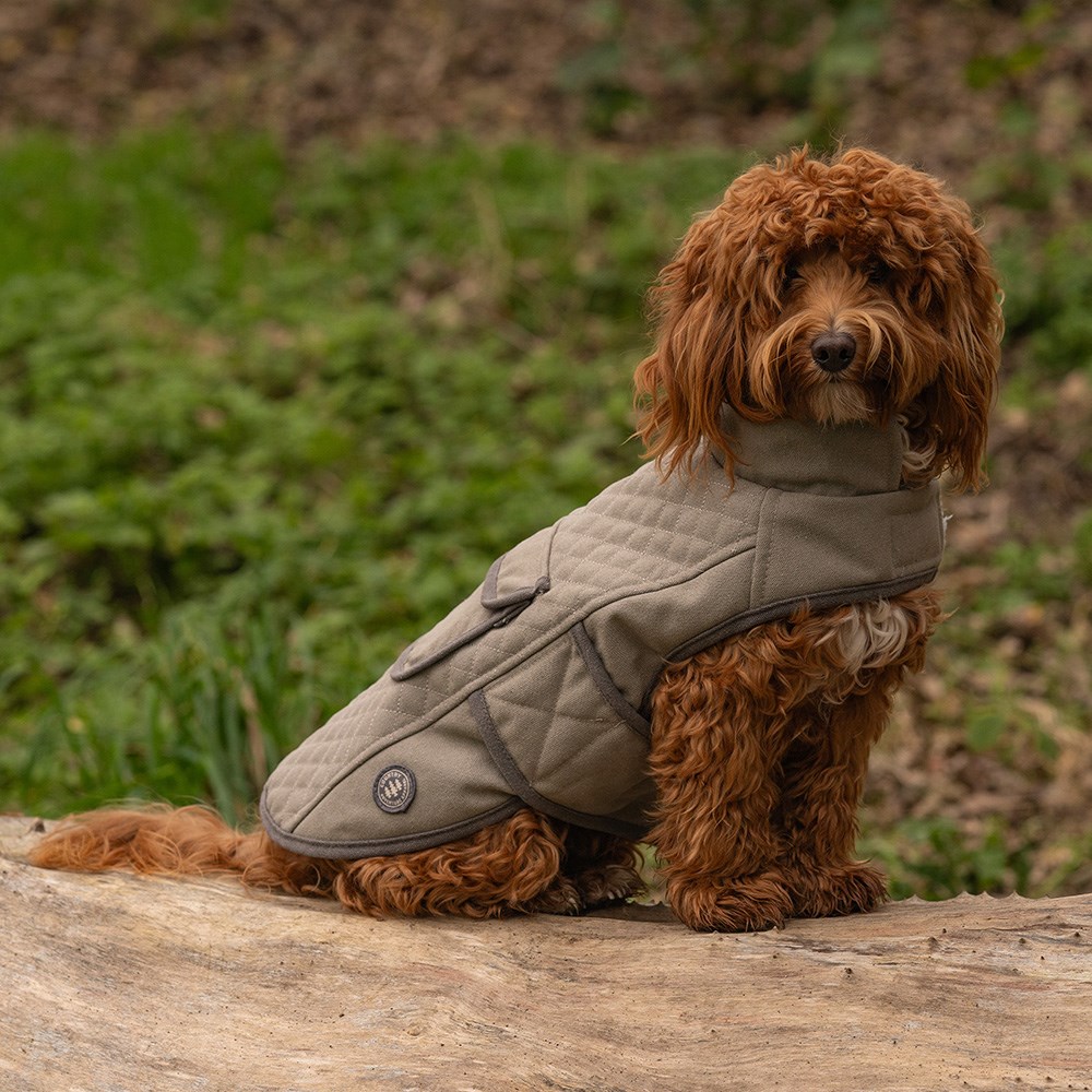 Great & Small Country Grey Canvas Coat