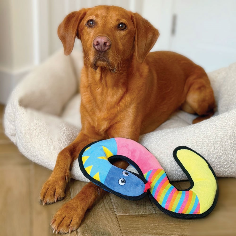 Great & Small Fortress Serpent Extra Large Dog Toy
