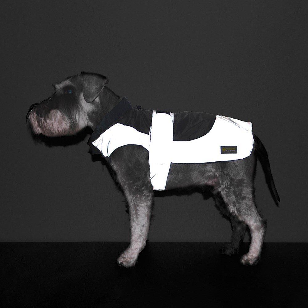 Great & Small Active Reflective Camouflage Dog Raincoat