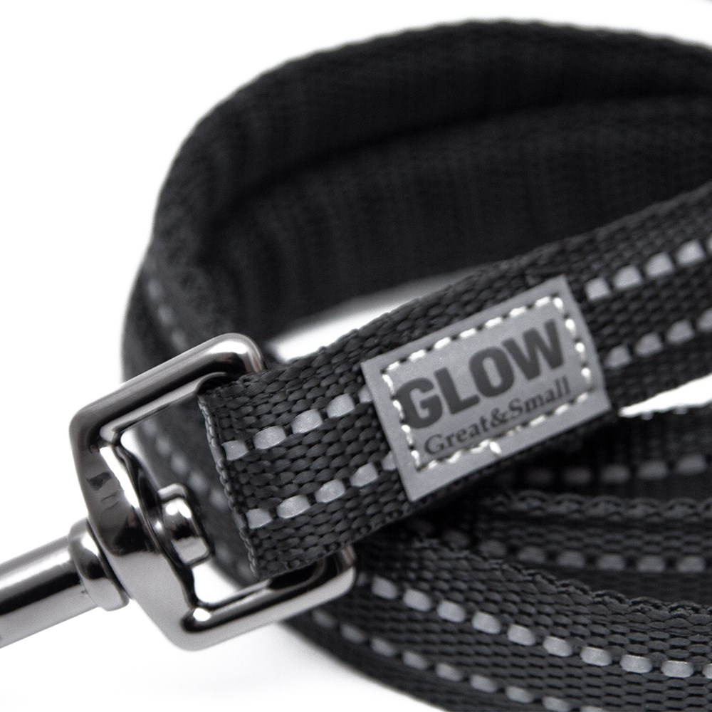 Great & Small Glow Dog Lead Black