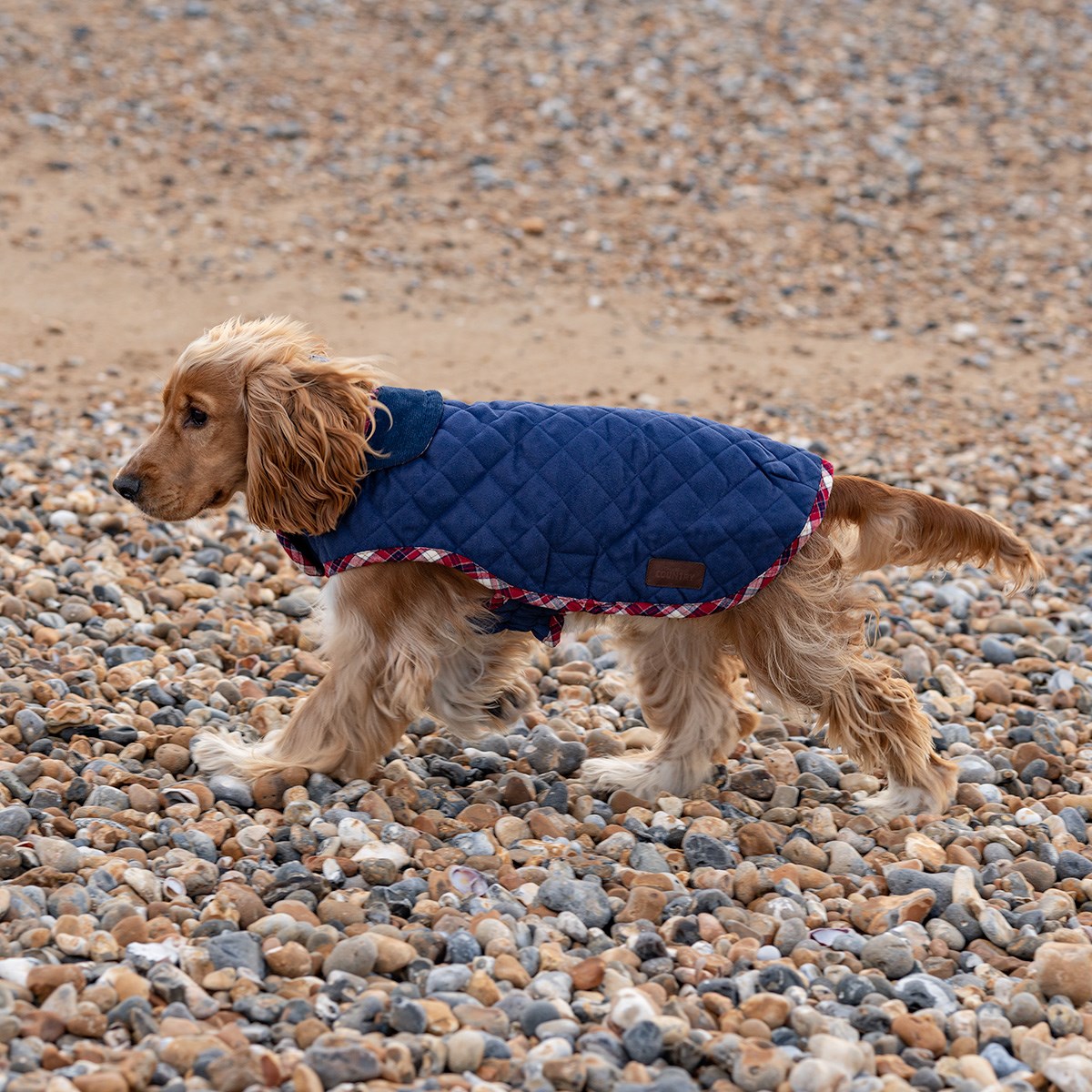 Great & Small Country Quilted Dog Coat Plaid/Navy