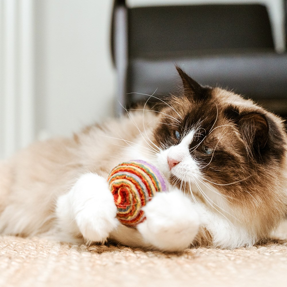 Great & Small MoMo Felt Cave Cat Bed