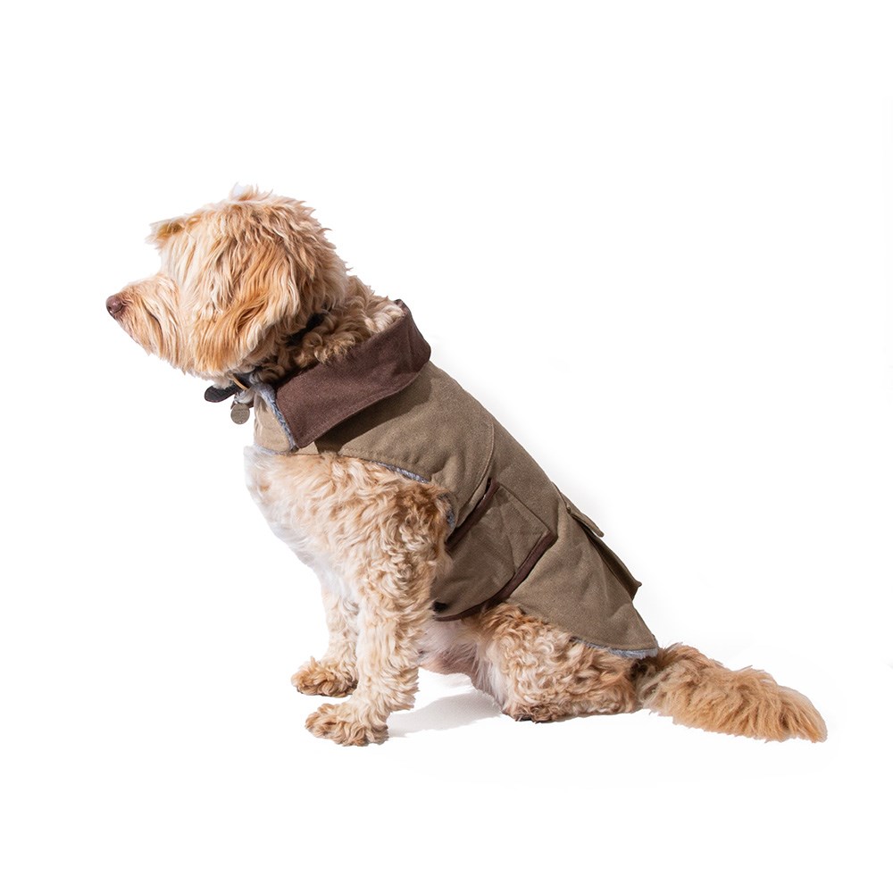 Great & Small Country Brown Canvas Coat