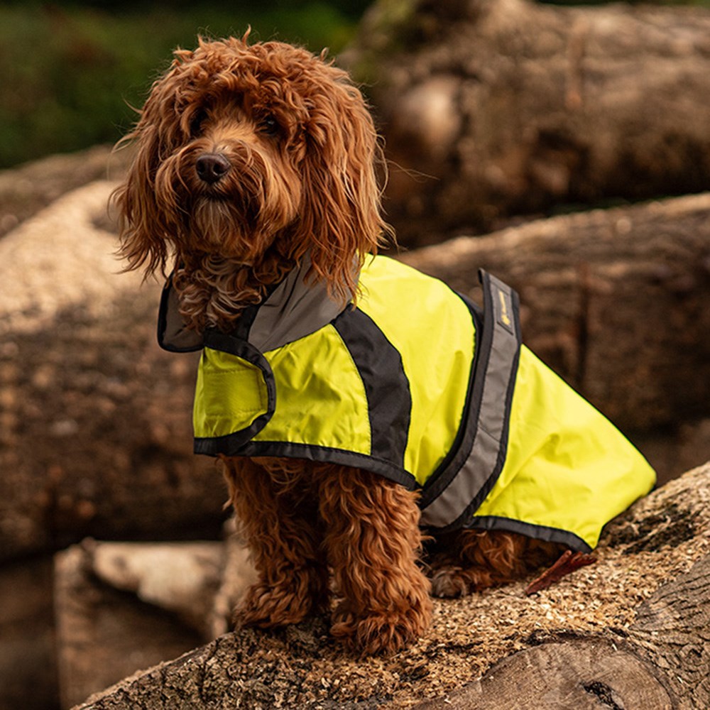 Great & Small Active Hi-Vis Running Dog Jacket