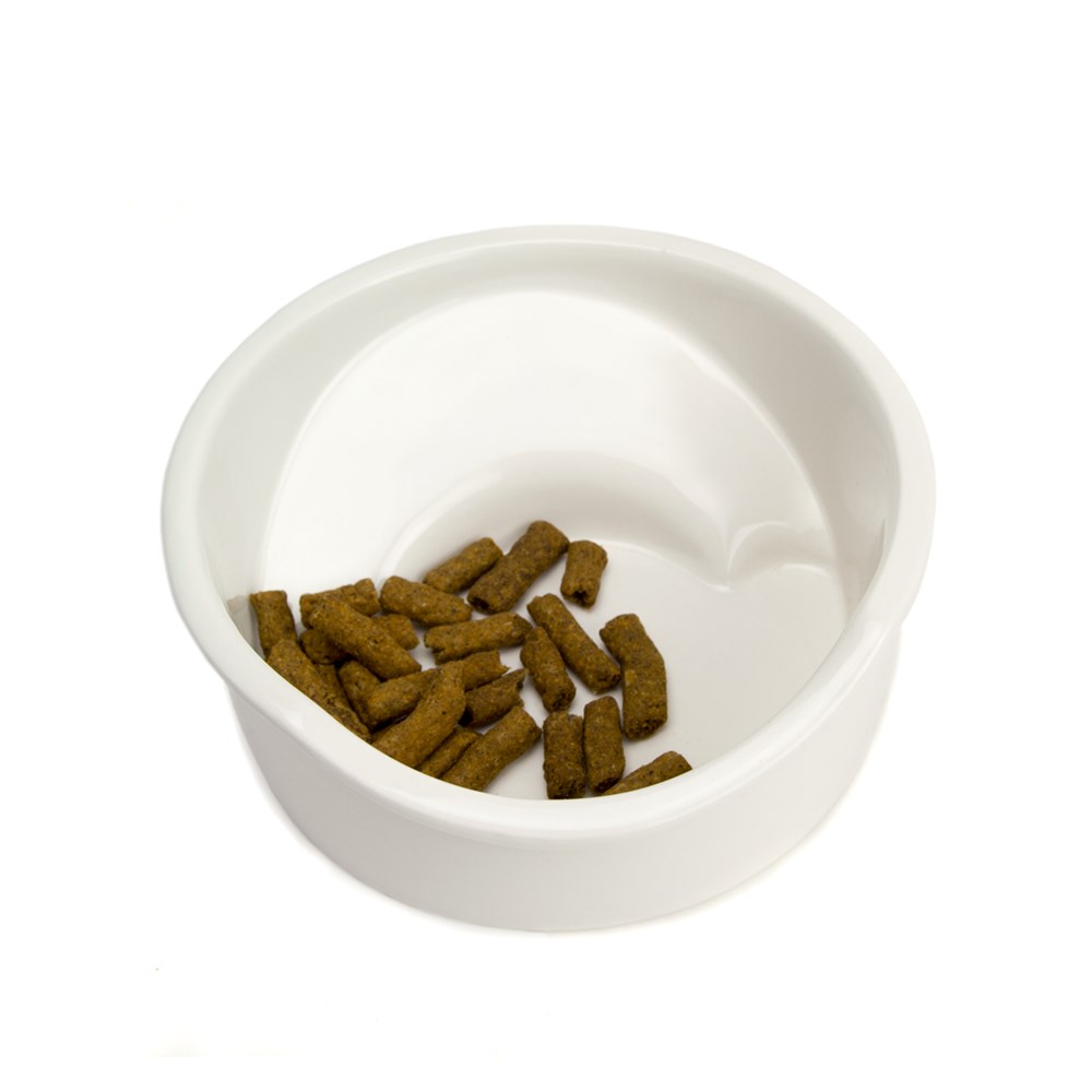 Great & Small Ceramic Flat Nosed Dog Bowl