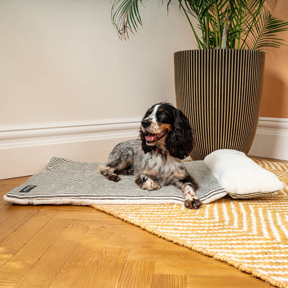 Great & Small Penrose Soft Travel Bed & Pillow