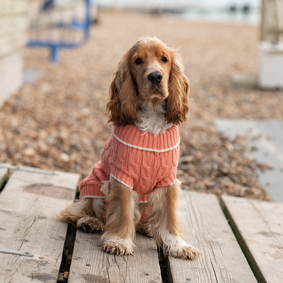 Great & Small Penrose Knit Peach Dog Jumper