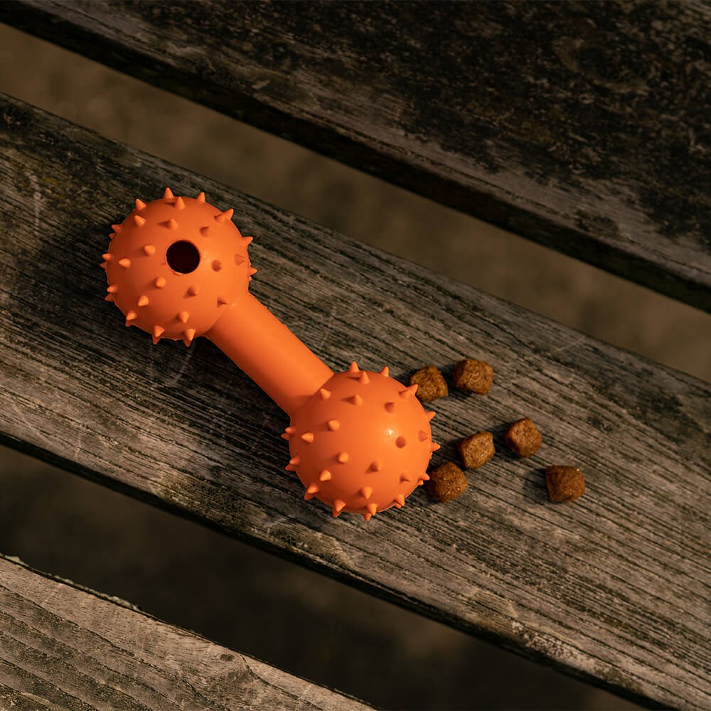 Great & Small 99% Natural Rubber Dumbell Dog Toy