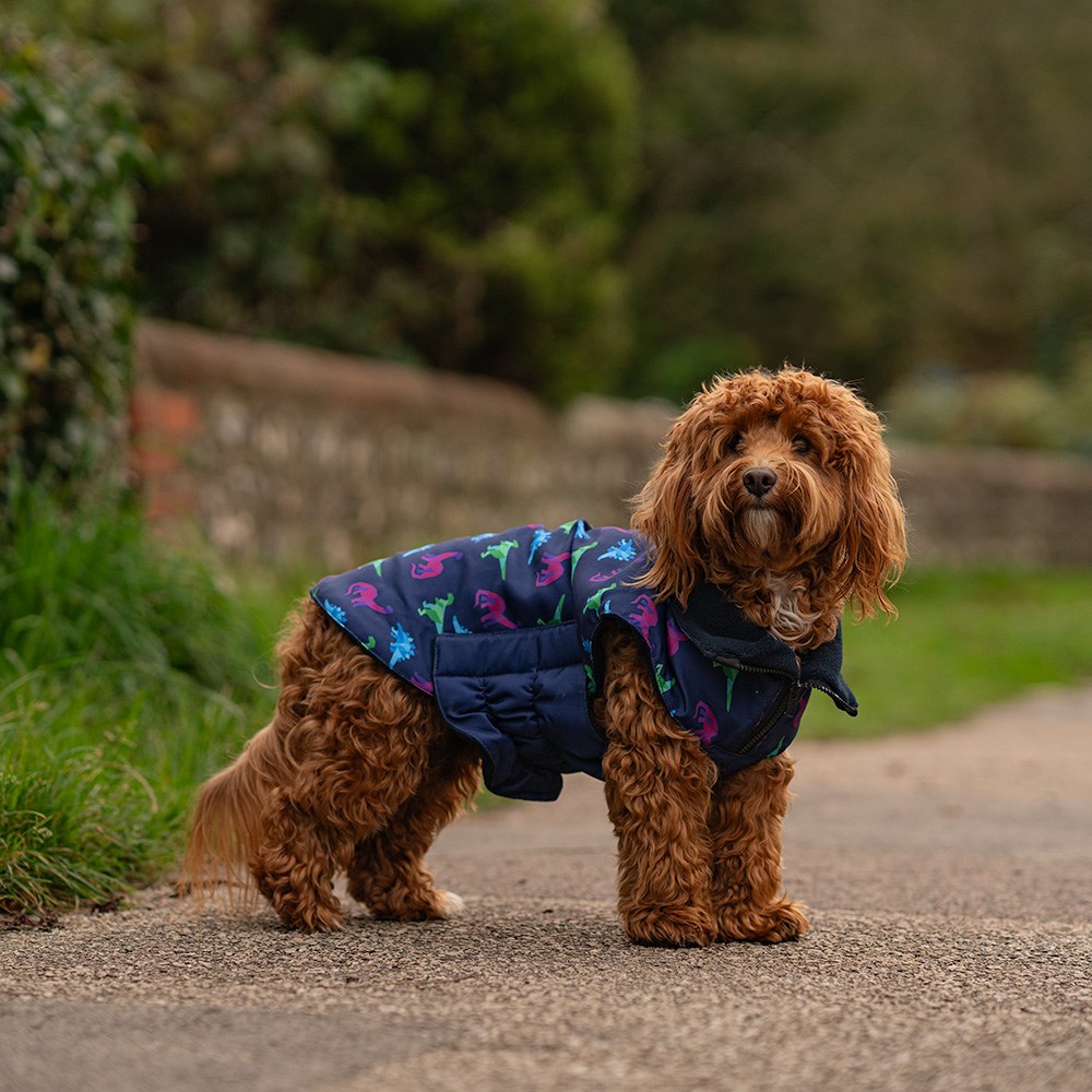 Great & Small Penrose Blue Dinosaur Dog Coat