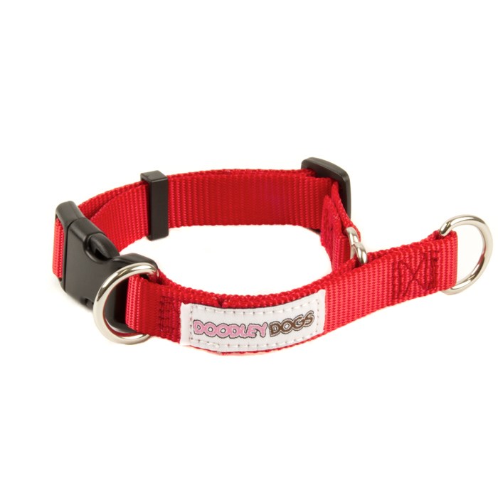 Doodley Dogs Red Plain Nylon Dog Collar