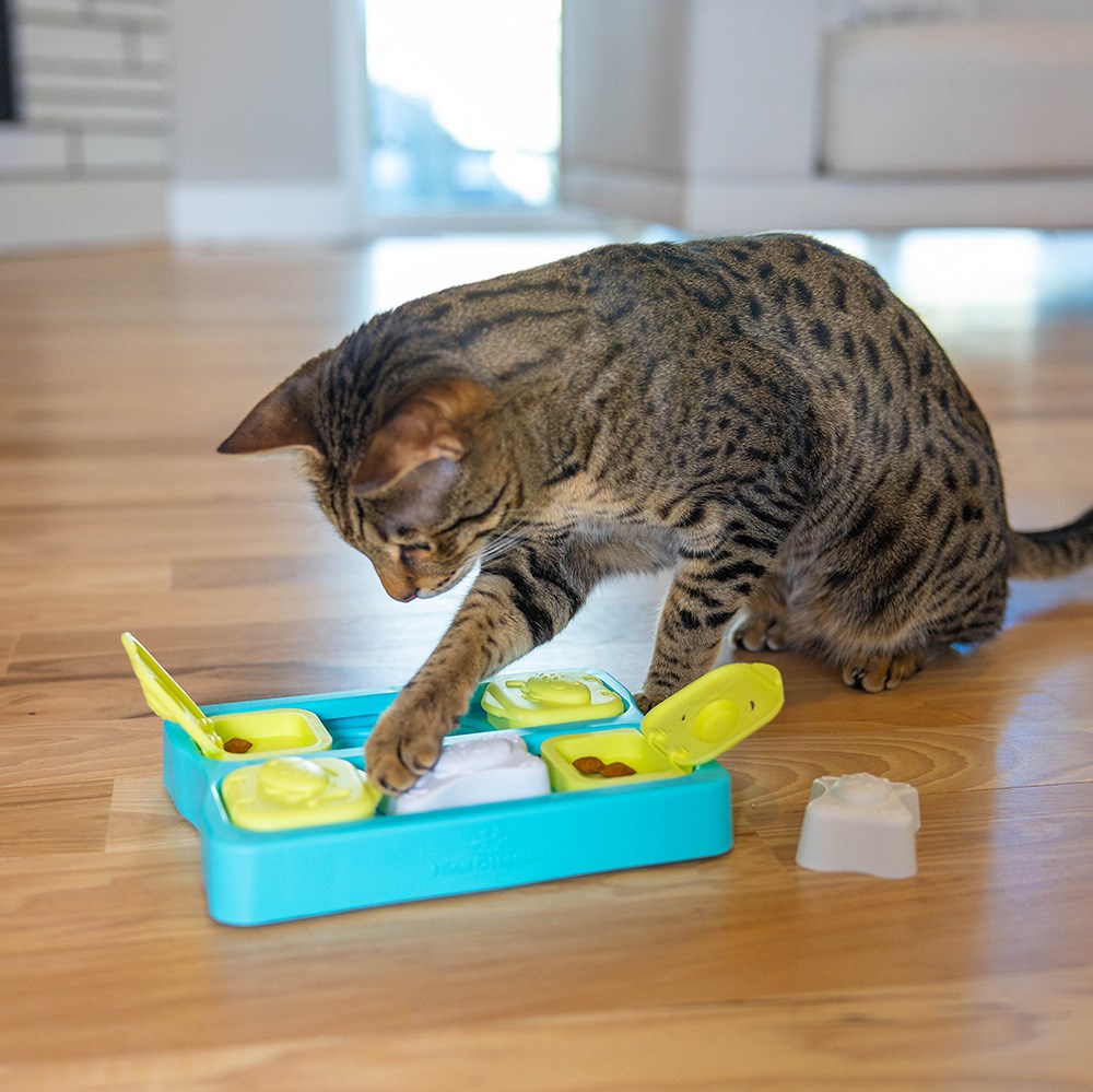 Rosewood CatStages Kitty Cube Puzzle Toy