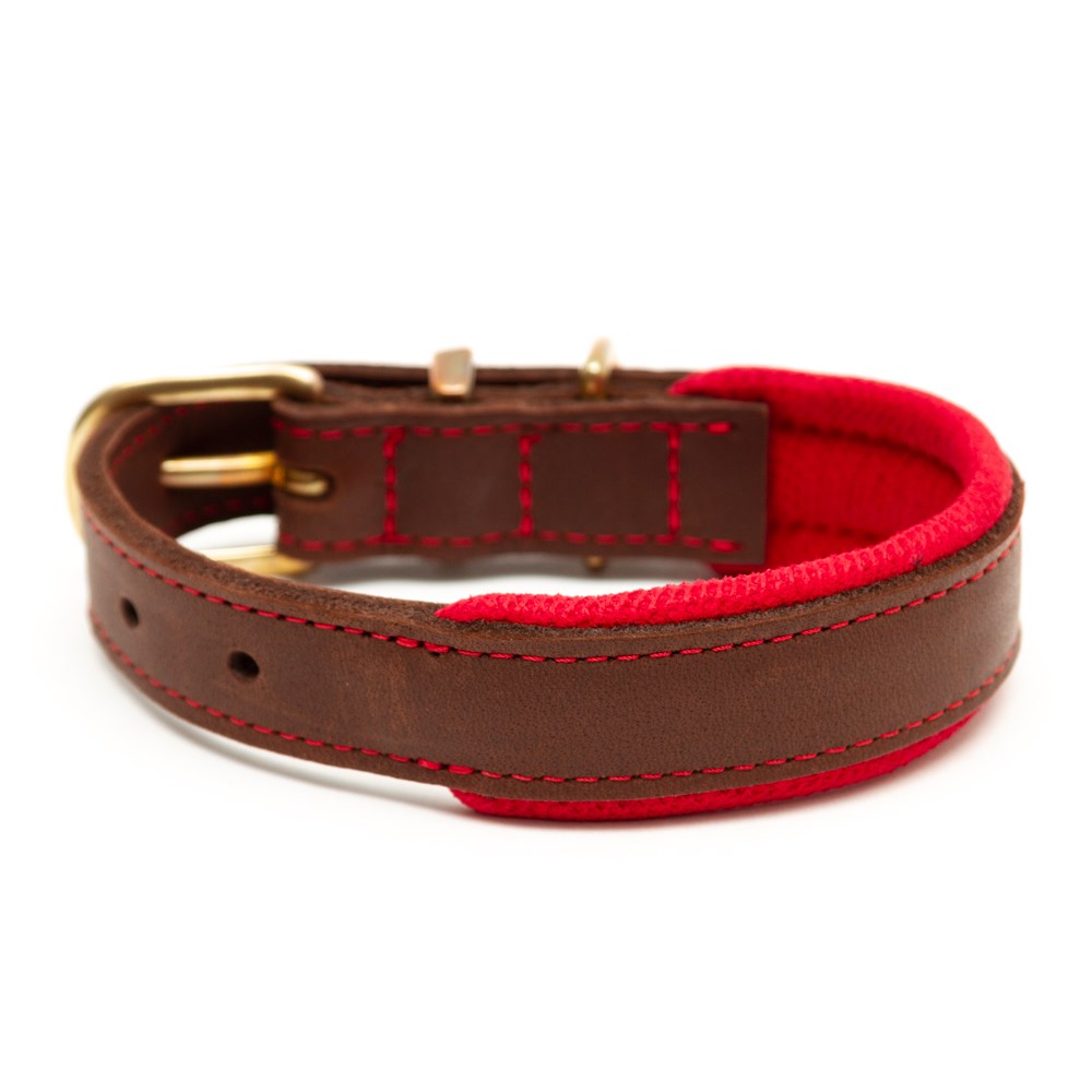 Great & Small Hawkhurst Leather Dog Collar Padded Red