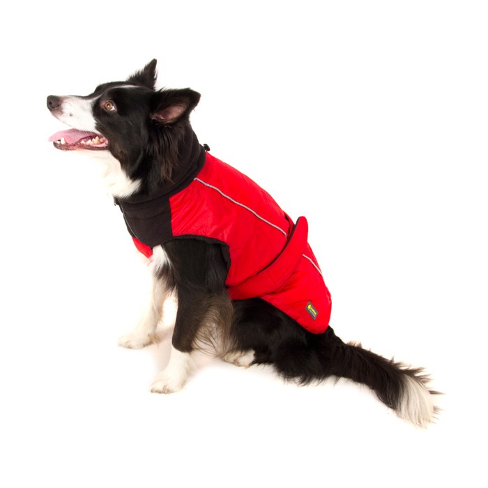 Great & Small Sports Dog Coat Red
