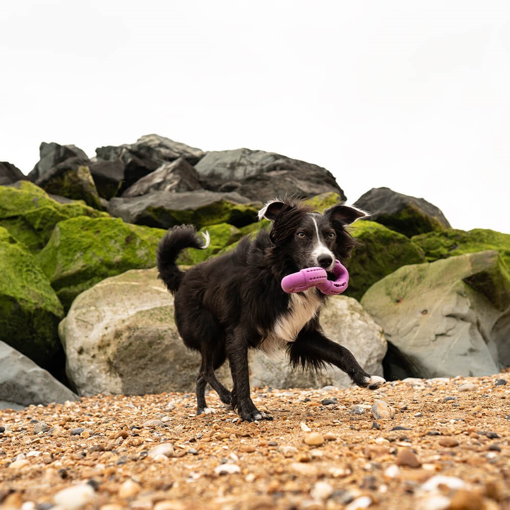 Great & Small Frubba Treat Twist Dog Toy