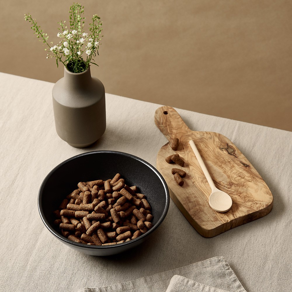 Lily & Leo Portuguese Stoneware Midnight Pet Bowl