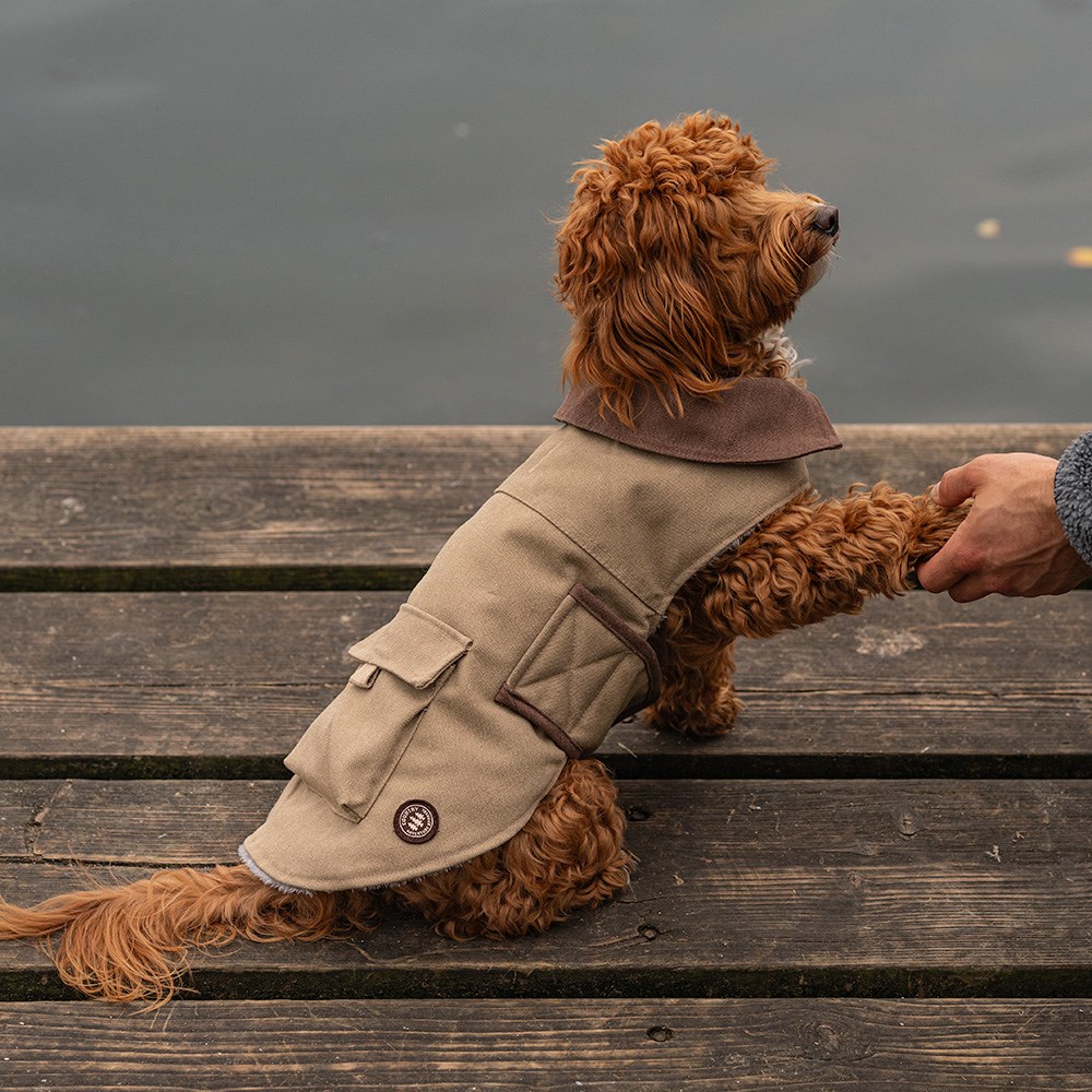 Great & Small Country Brown Canvas Coat